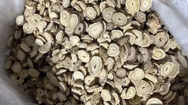 2026年3月26日首阳中药材市场快讯(党参原装关注度高,价格稳定)