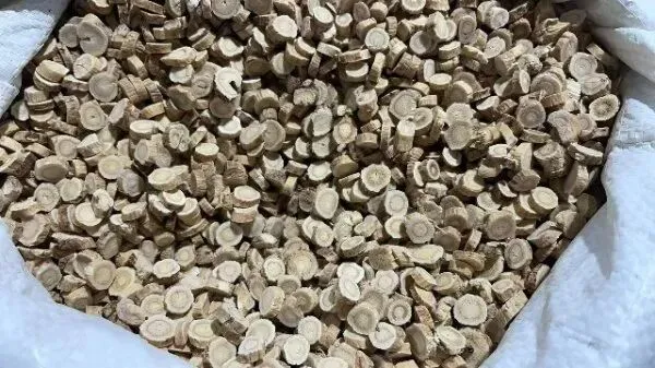 2026年3月26日首阳中药材市场快讯(党参原装关注度高,价格稳定)