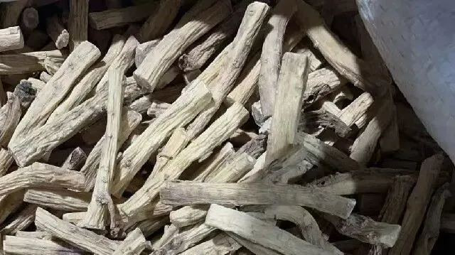 2026年3月26日首阳中药材市场快讯(党参原装关注度高,价格稳定)