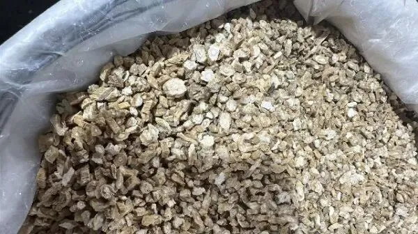 2026年3月26日首阳中药材市场快讯(党参原装关注度高,价格稳定)