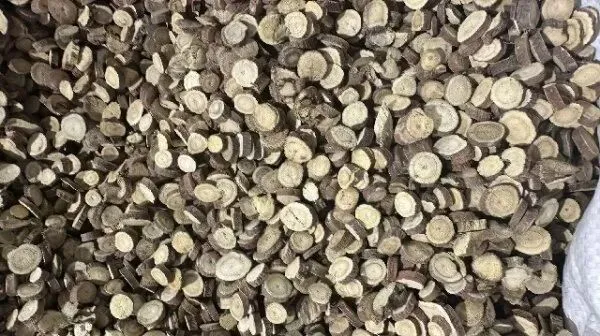 2026年3月26日首阳中药材市场快讯(党参原装关注度高,价格稳定)