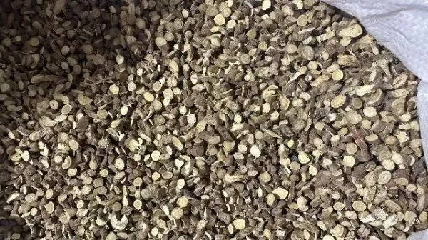 2026年3月26日首阳中药材市场快讯(党参原装关注度高,价格稳定)