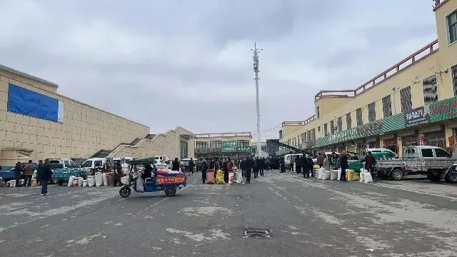 2026年3月26日首阳中药材市场快讯(党参原装关注度高,价格稳定)