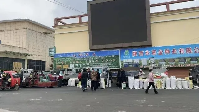 2026年3月26日首阳中药材市场快讯(党参原装关注度高,价格稳定)