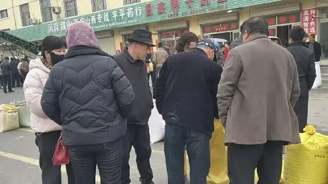 2026年3月26日首阳中药材市场快讯(党参原装关注度高,价格稳定)