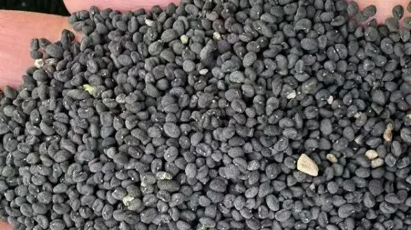 2026年3月26日首阳中药材市场快讯(党参原装关注度高,价格稳定)