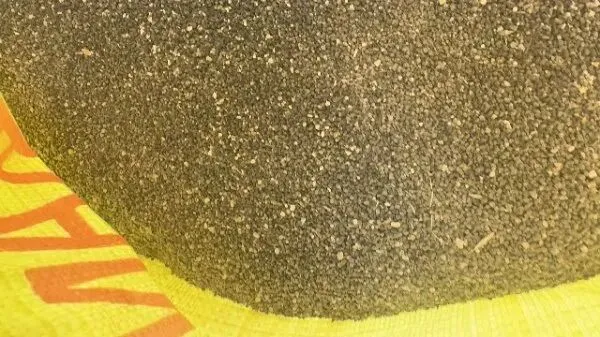 2026年3月26日首阳中药材市场快讯(党参原装关注度高,价格稳定)