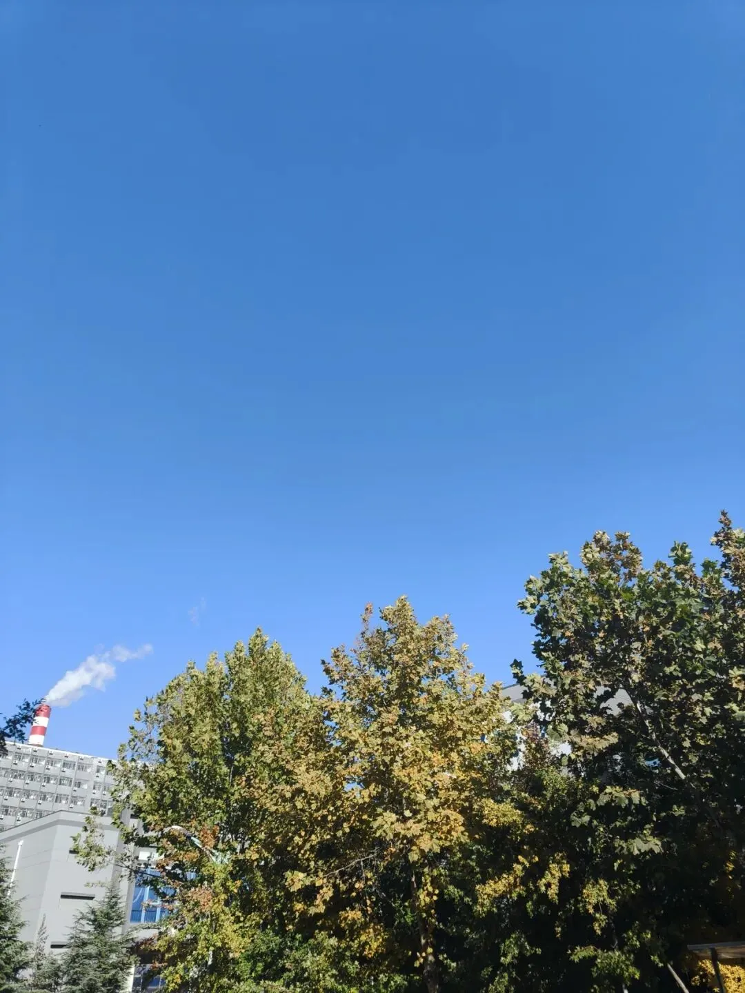 大连人才市场3月27日招聘,日结,长期,国企,外企!