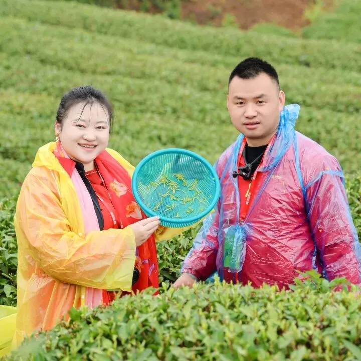 茶学之旅·战略营销 | 清铧股份2026年福鼎茶学之旅暨新品上新会圆满收官!