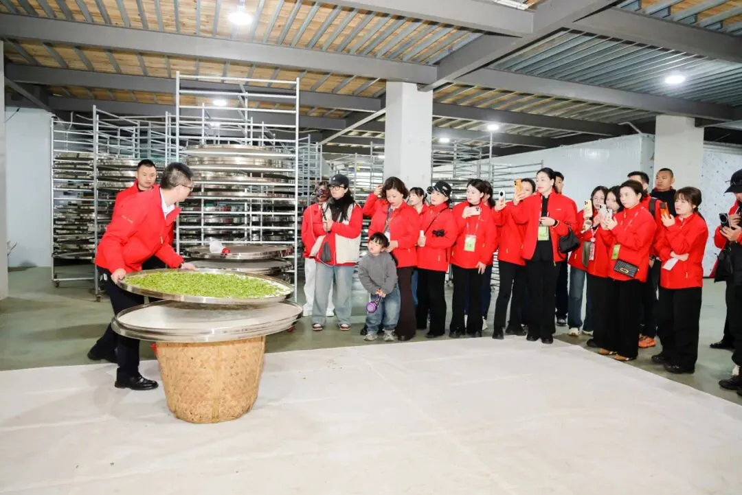 茶学之旅·战略营销 | 清铧股份2026年福鼎茶学之旅暨新品上新会圆满收官!