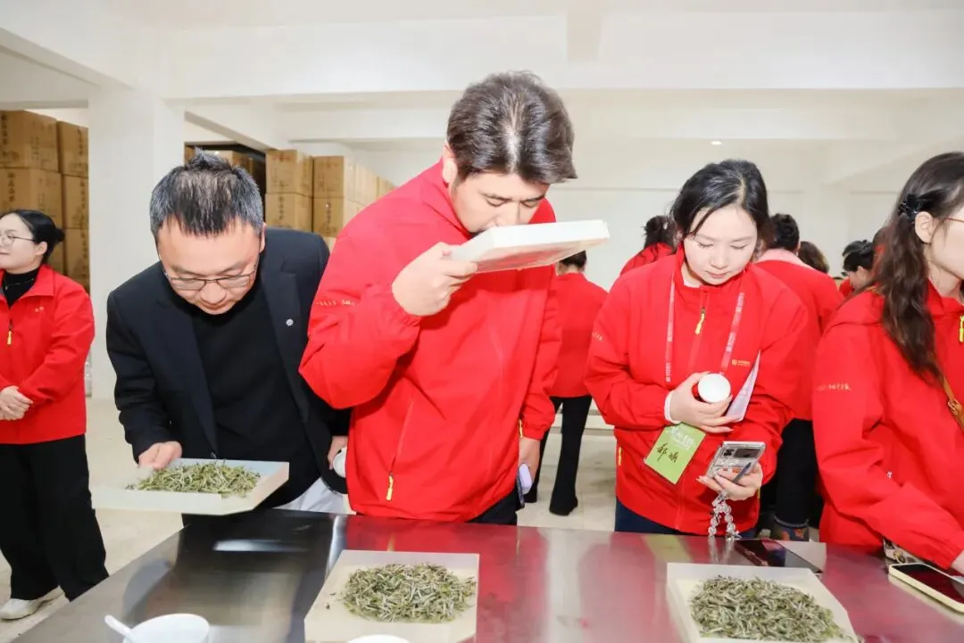 茶学之旅·战略营销 | 清铧股份2026年福鼎茶学之旅暨新品上新会圆满收官!