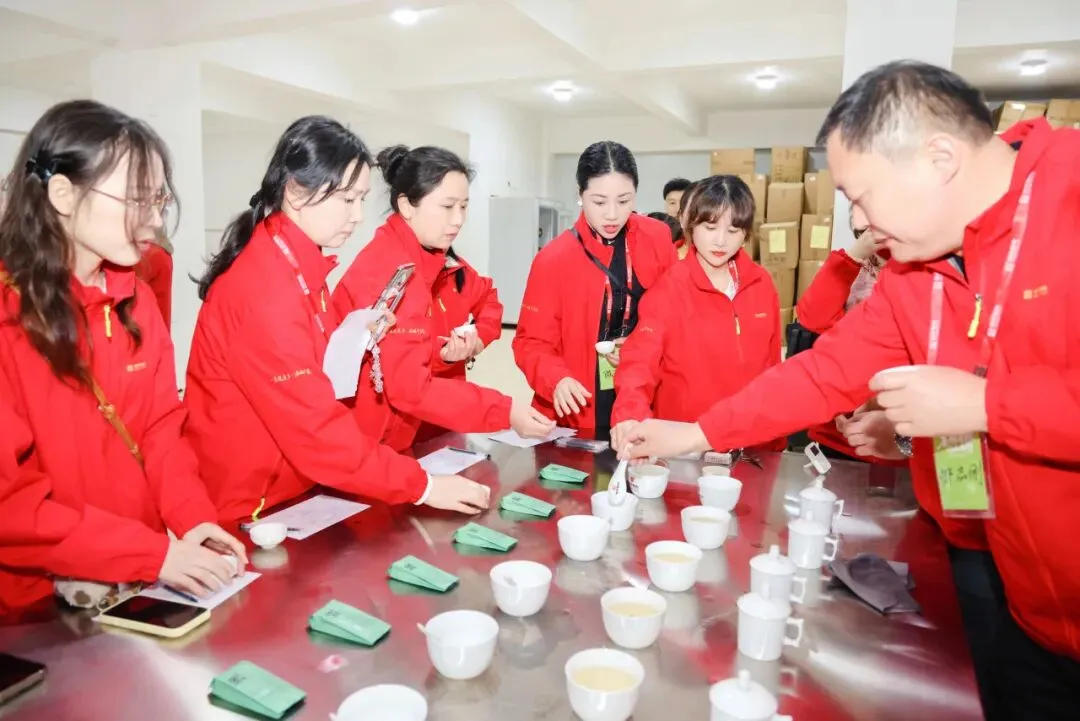 茶学之旅·战略营销 | 清铧股份2026年福鼎茶学之旅暨新品上新会圆满收官!