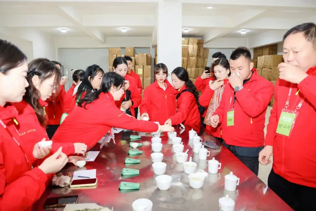 茶学之旅·战略营销 | 清铧股份2026年福鼎茶学之旅暨新品上新会圆满收官!