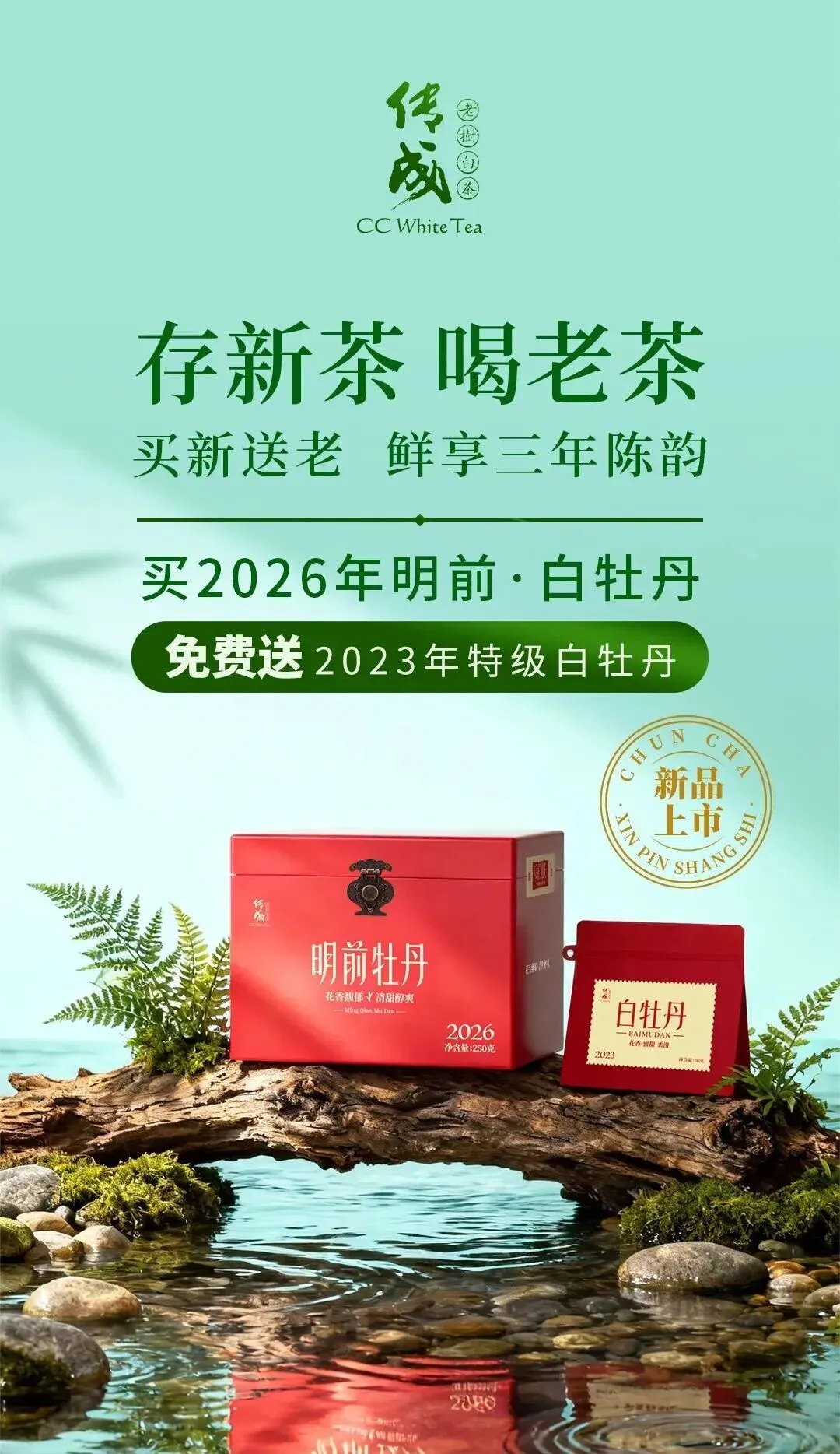 茶学之旅·战略营销 | 清铧股份2026年福鼎茶学之旅暨新品上新会圆满收官!