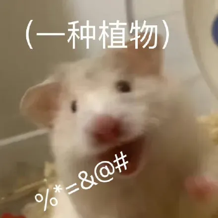 把消费者当“狗”,像罗技这么蠢的营销太少见了!