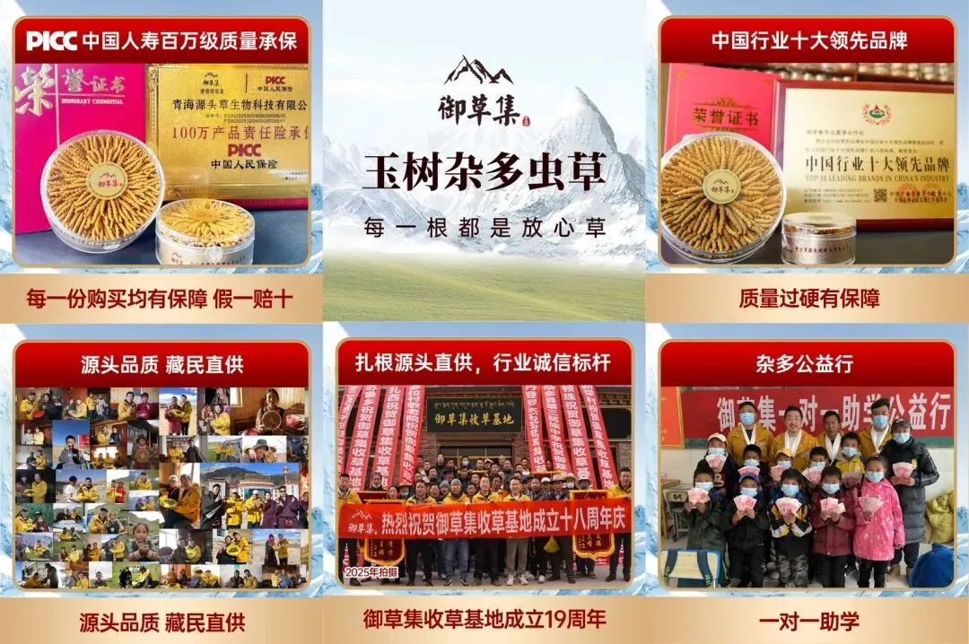 “虫草市场”暴雷!这位叫格桑的藏族小伙儿,在全国火了