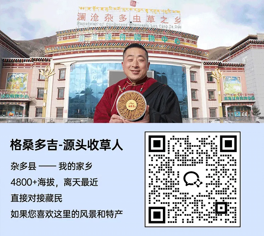 “虫草市场”暴雷!这位叫格桑的藏族小伙儿,在全国火了