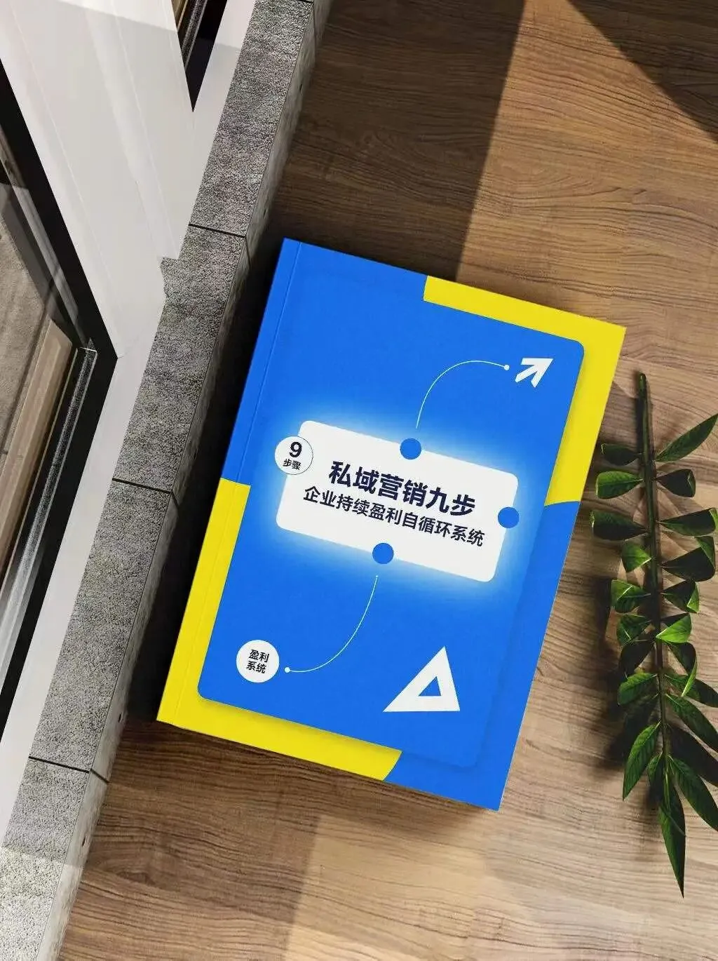 《私域营销九步》