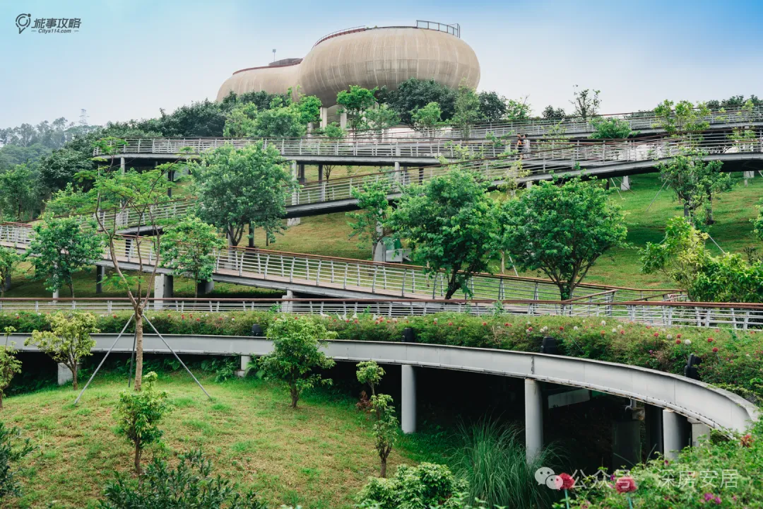 龙华红山,联发新澍雅居,开放营销中心和样板房,总价400万上车龙华实验!78㎡做三房两卫!