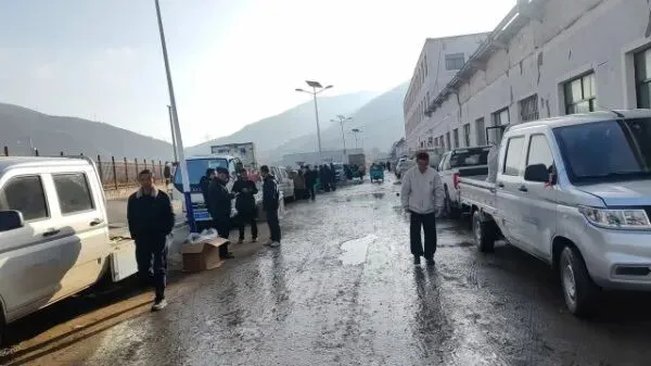 2026年3月28日岷县中药材市场快讯(黄芪上货量有所减少,交易有所放缓)