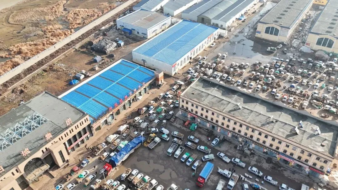 2026年3月28日岷县中药材市场快讯(黄芪上货量有所减少,交易有所放缓)