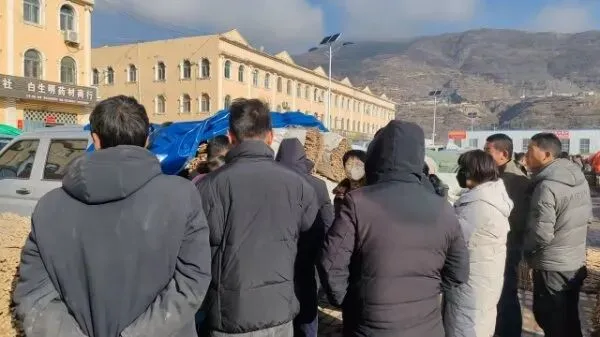 2026年3月28日岷县中药材市场快讯(黄芪上货量有所减少,交易有所放缓)