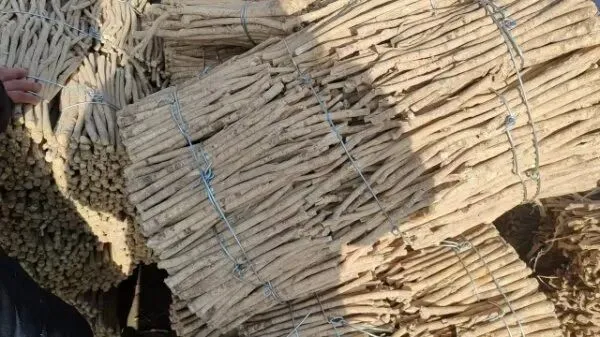 2026年3月28日岷县中药材市场快讯(黄芪上货量有所减少,交易有所放缓)