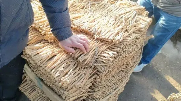 2026年3月28日岷县中药材市场快讯(黄芪上货量有所减少,交易有所放缓)