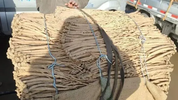 2026年3月28日岷县中药材市场快讯(黄芪上货量有所减少,交易有所放缓)