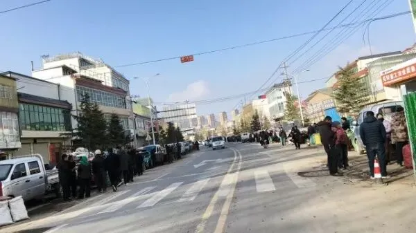 2026年3月28日岷县中药材市场快讯(黄芪上货量有所减少,交易有所放缓)