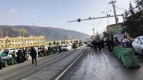 2026年3月28日岷县中药材市场快讯(黄芪上货量有所减少,交易有所放缓)