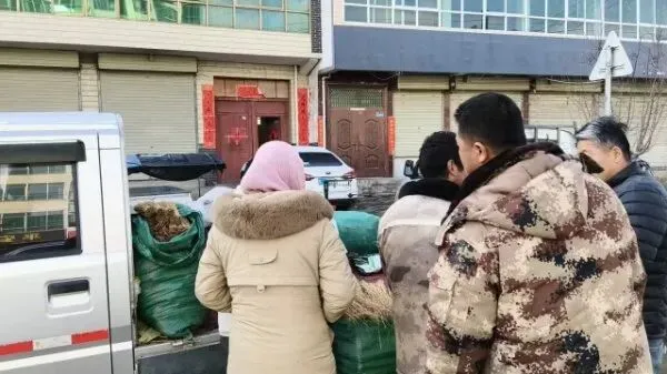 2026年3月28日岷县中药材市场快讯(黄芪上货量有所减少,交易有所放缓)