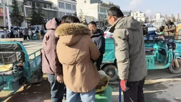 2026年3月28日岷县中药材市场快讯(黄芪上货量有所减少,交易有所放缓)