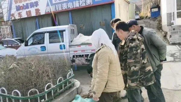 2026年3月28日岷县中药材市场快讯(黄芪上货量有所减少,交易有所放缓)