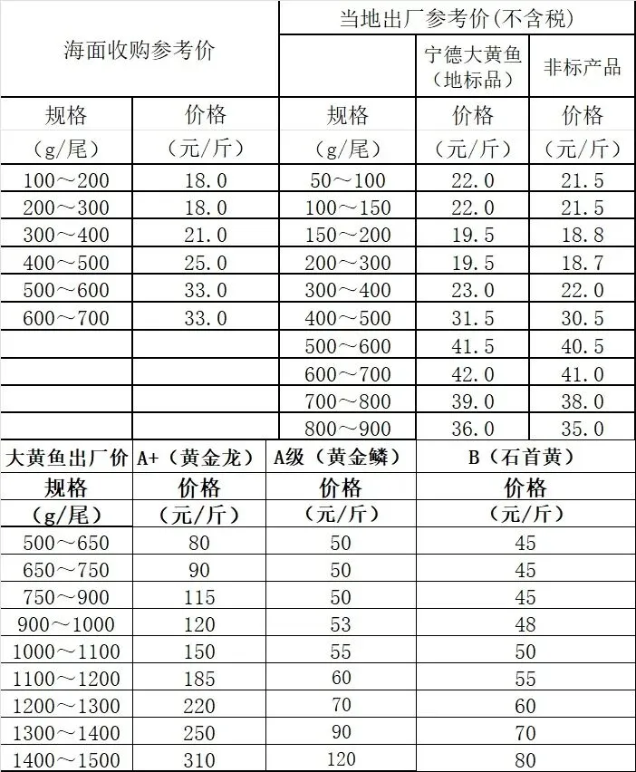 大黄鱼市场行情(2026年03月28日)