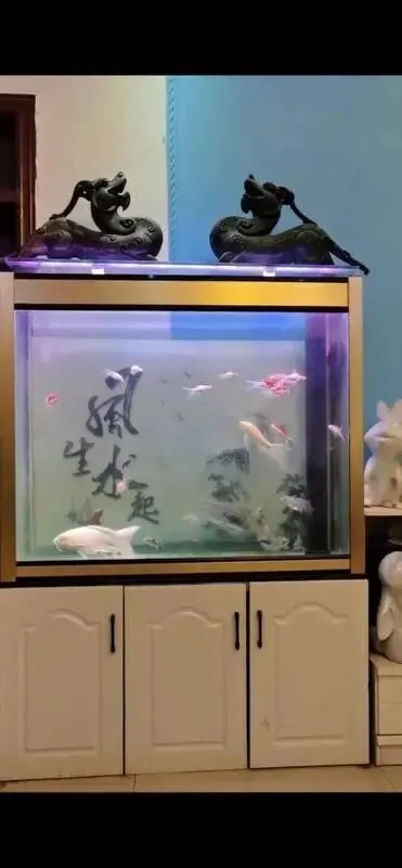 【二手市场】麻将机/卤肉桶/1.5米冰柜/套丝机 电焊机/山地车/鱼缸…