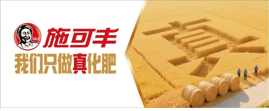 超威营销再添新动作成立营销商学院 张默闻受邀见证行业黄埔军校始建成