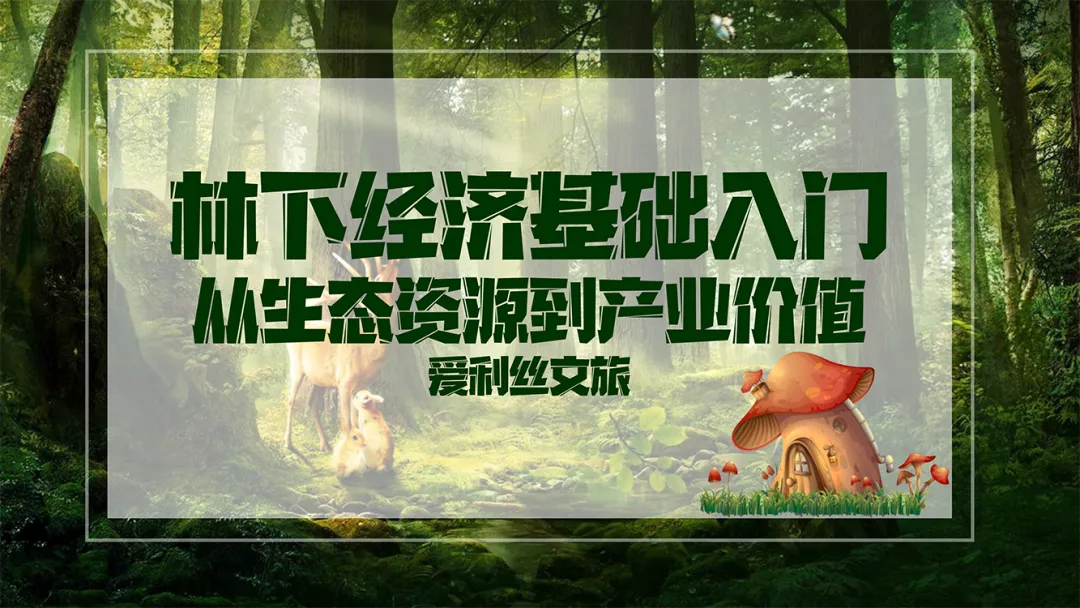 森林康养爆发式增长,万亿级蓝海市场开启