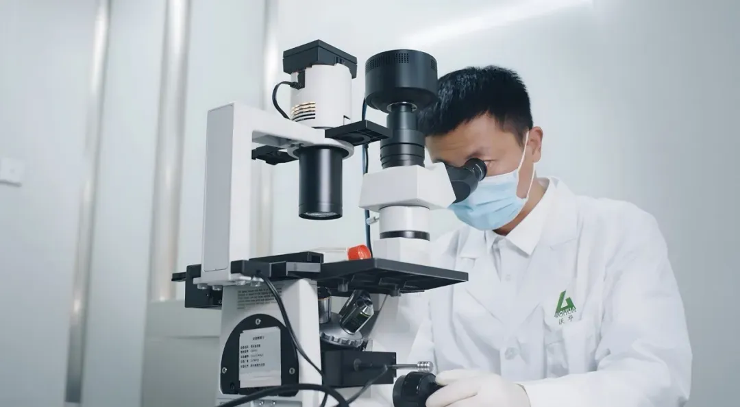 山东肉鸡市场业务经理招聘简章