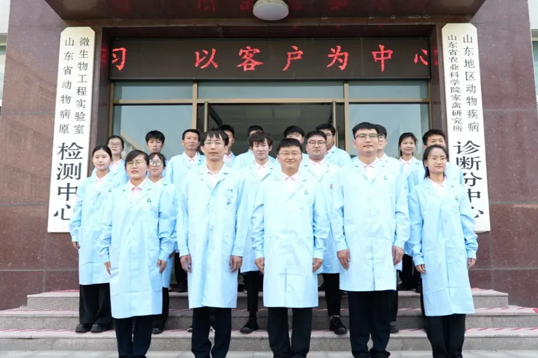 山东肉鸡市场业务经理招聘简章