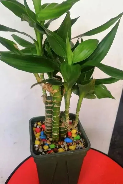 【十年“九十种营销模式”】