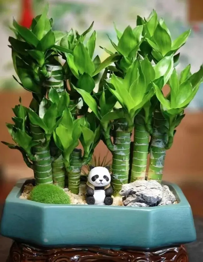 【十年“九十种营销模式”】