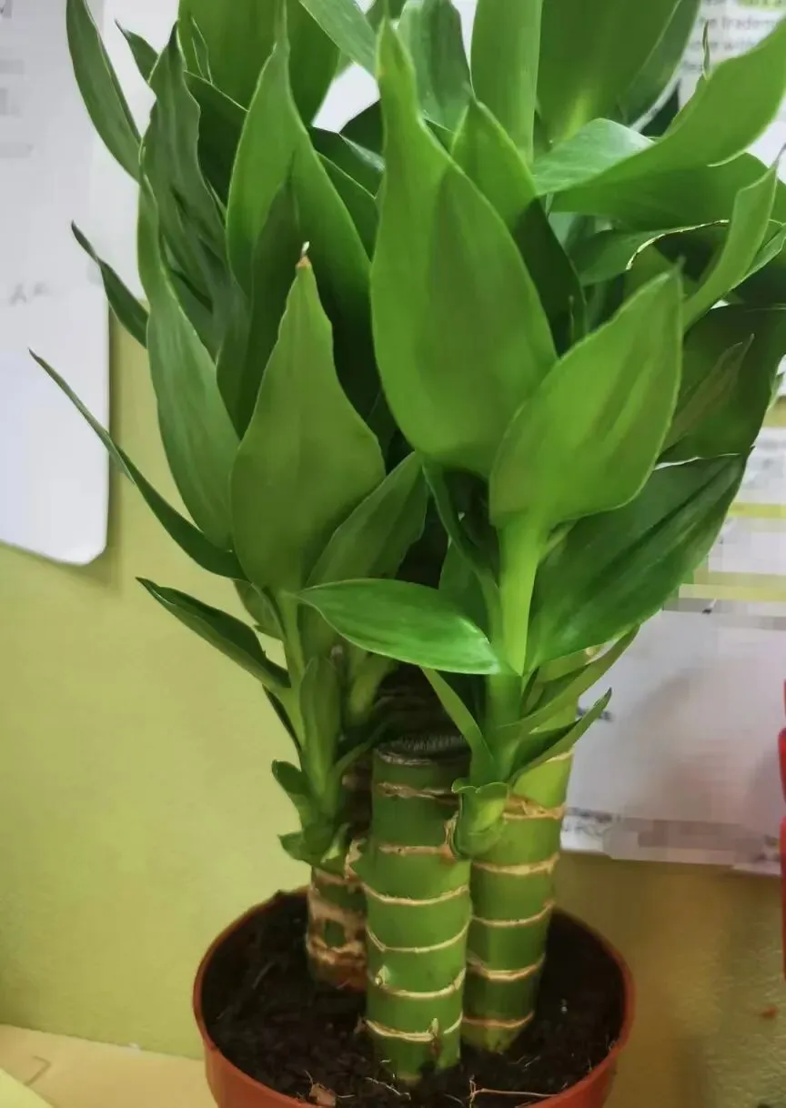 【十年“九十种营销模式”】