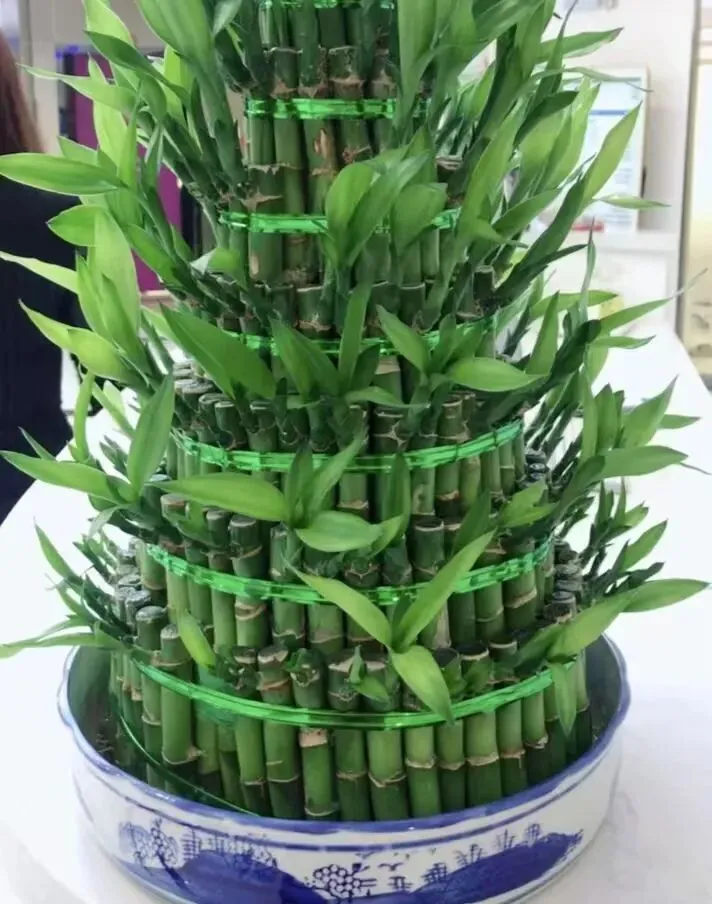 【十年“九十种营销模式”】