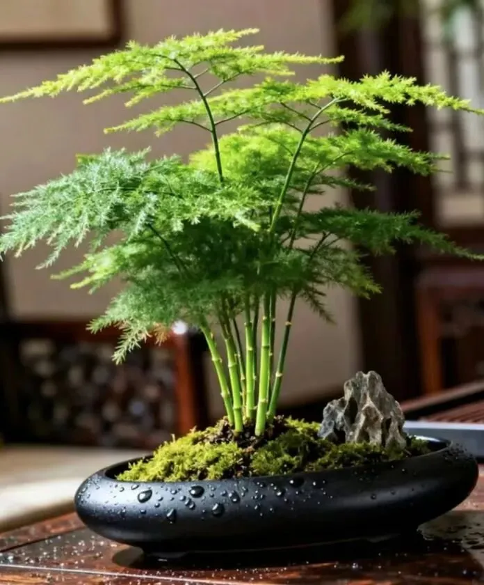 【十年“九十种营销模式”】