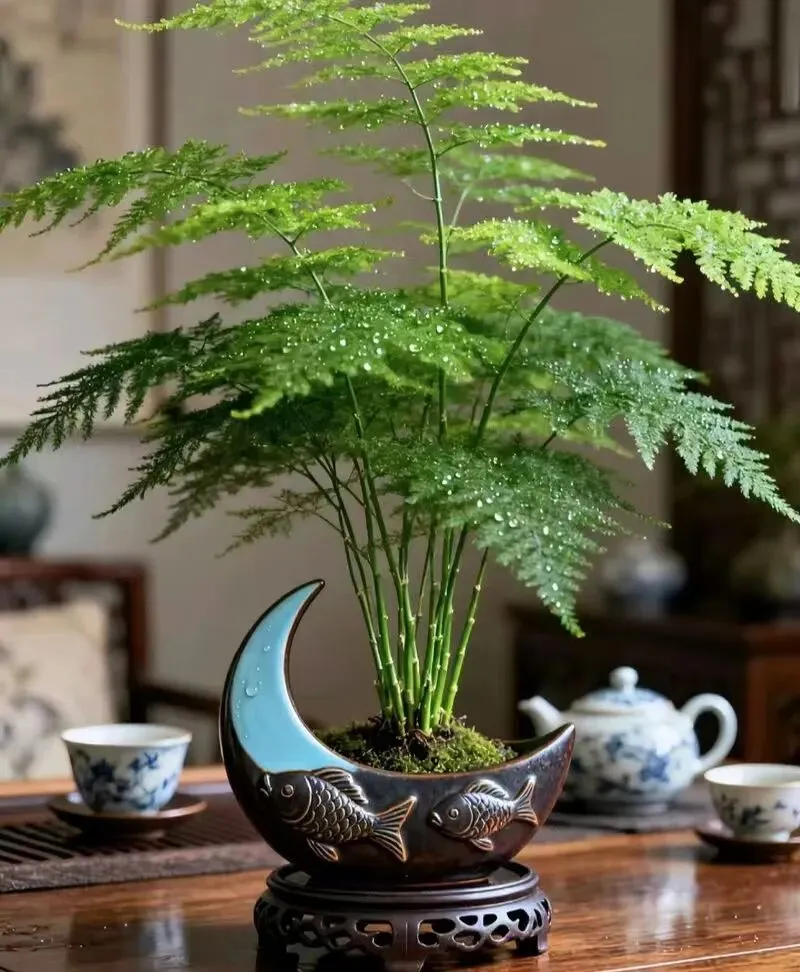 【十年“九十种营销模式”】