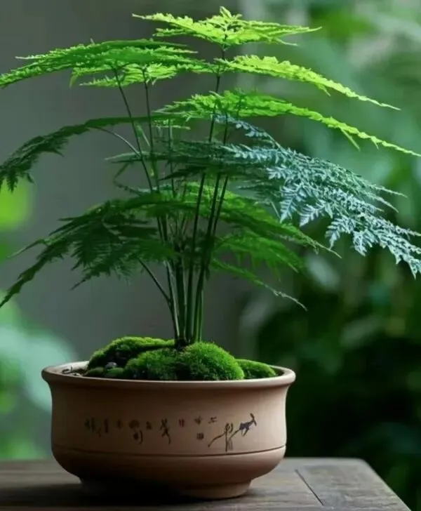 【十年“九十种营销模式”】