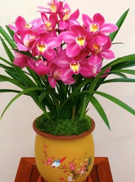 【十年“九十种营销模式”】