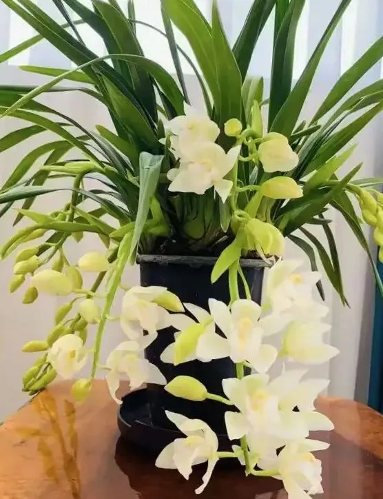 【十年“九十种营销模式”】