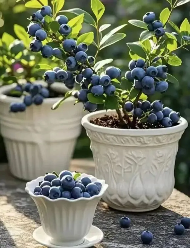 【十年“九十种营销模式”】